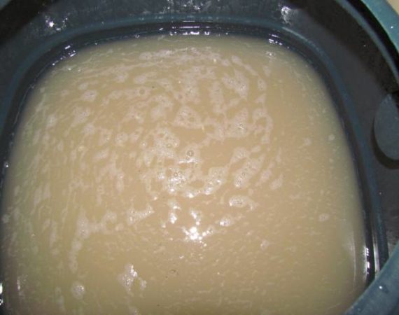Способ приготовления бражки из сахара, варенья и меда