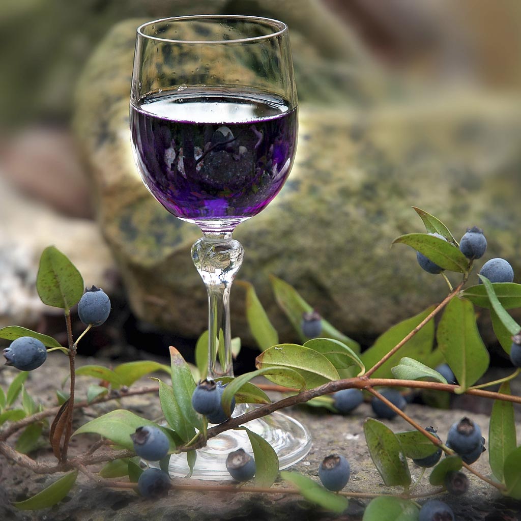 7 рецептов домашнего вина из ирги в домашних условиях