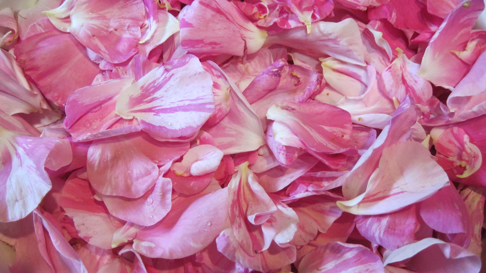 Рецепт ликера из лепестков роз