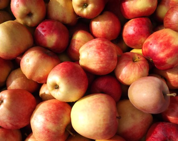 Рецепт самогона из яблок в домашних условиях