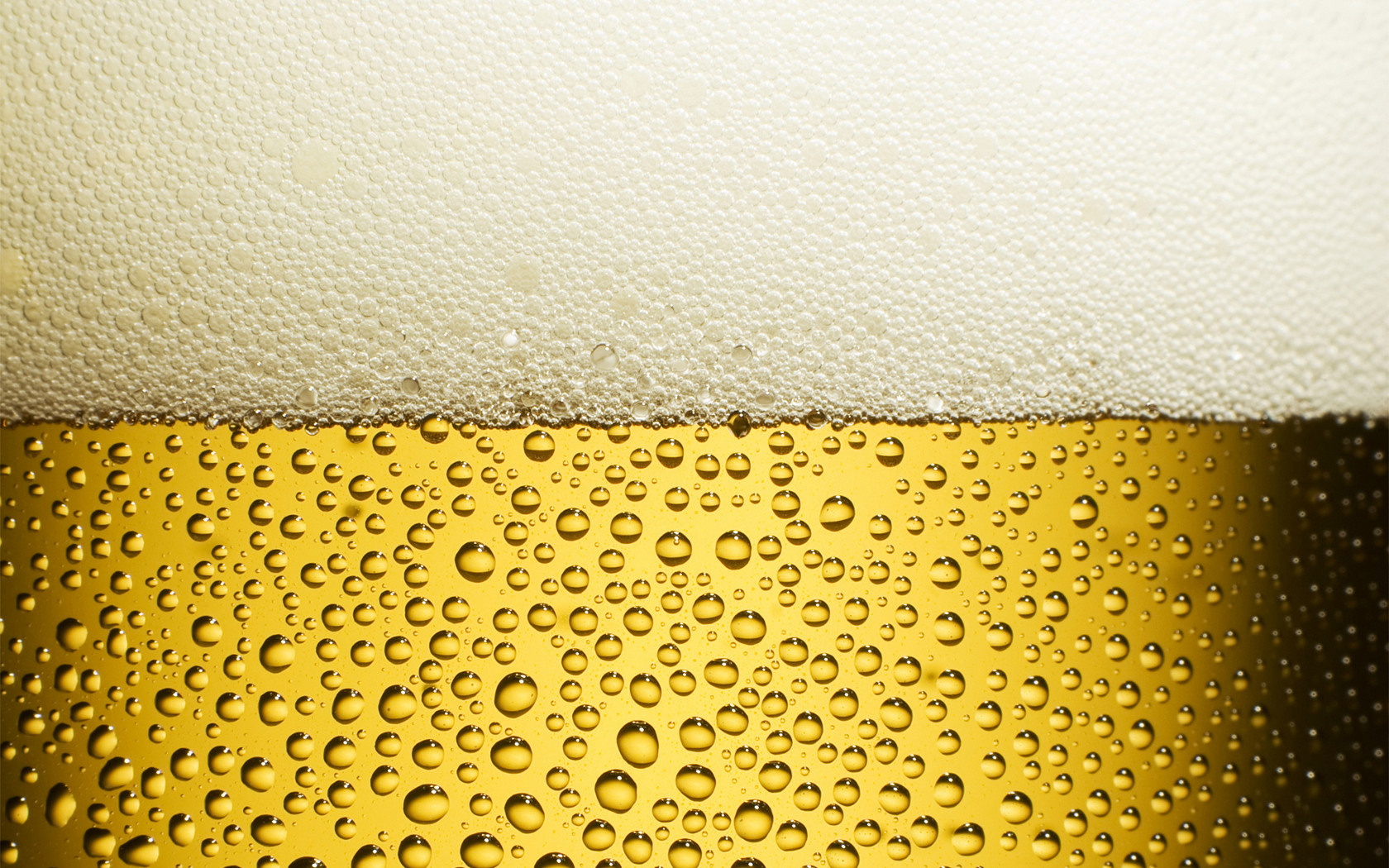 Сколько можно выпить пива